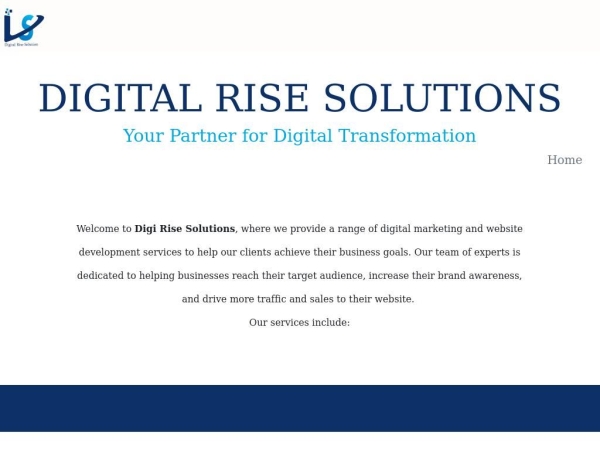 digital-rise-solutions.com